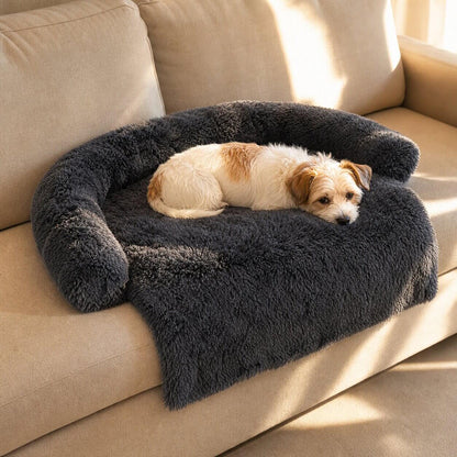 Sofaschutz für Hunde – eigener Platz mit erhöhtem Rand