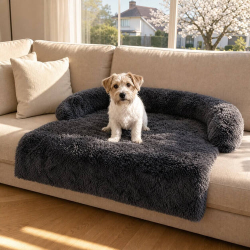 Sofaschutz für Hunde – eigener Platz mit erhöhtem Rand