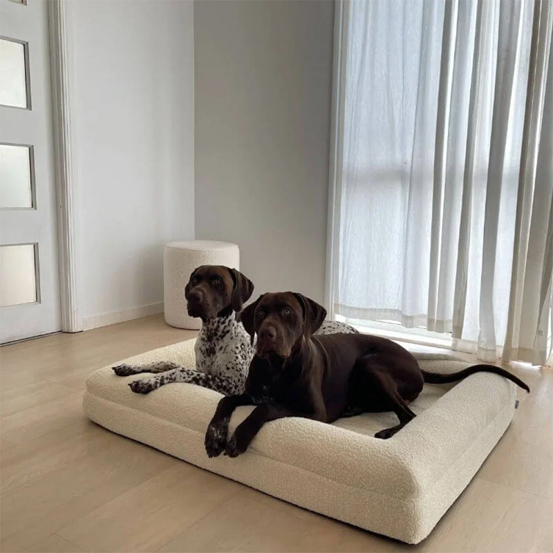 Zwei Hunde liegen zusammen auf dem PUVANO Hundebett aus Bouclé in einem hellen Wohnraum