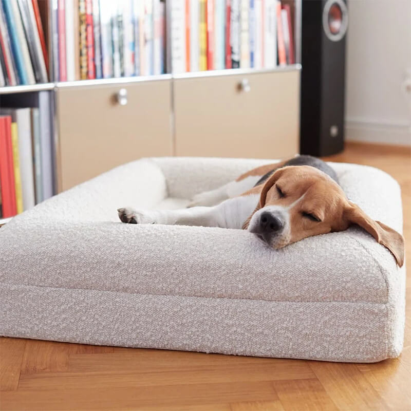 Beagle schläft im PUVANO Hundebett aus Bouclé, Kopf auf dem Rand, vor einem Regal