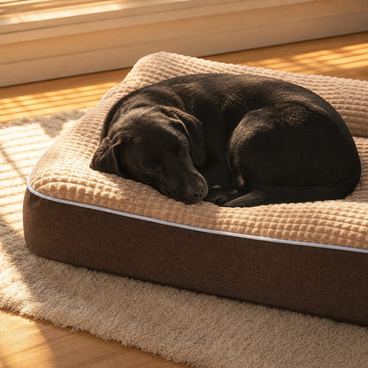 Hundebett mit umlaufendem erhöhtem Rand